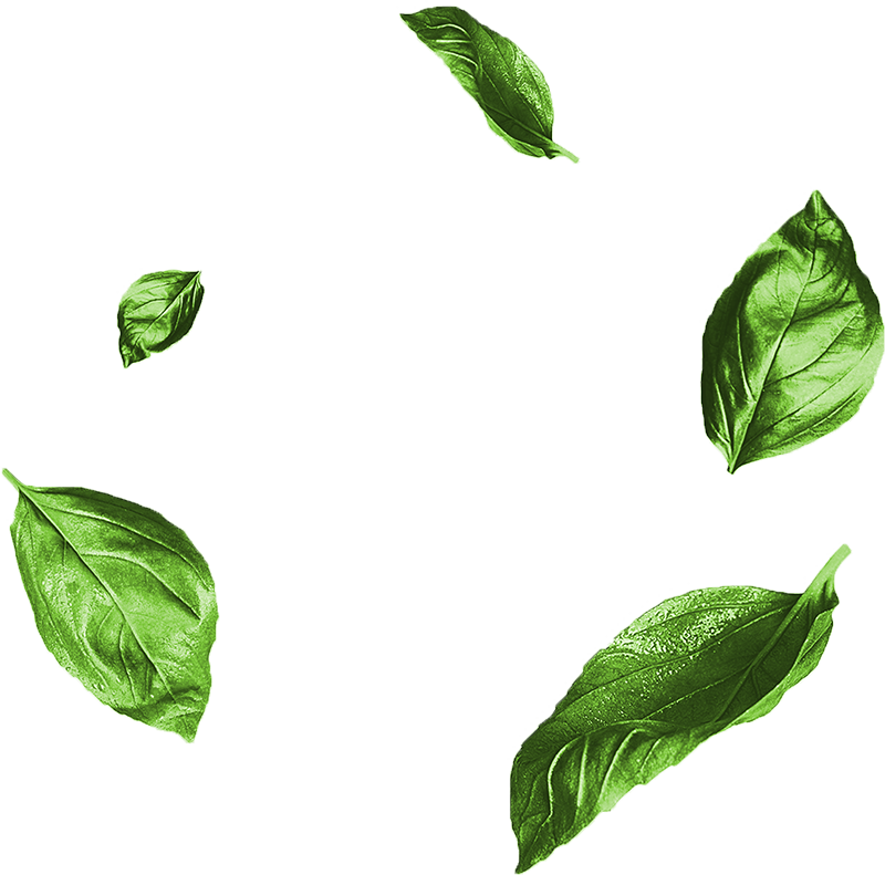 leaf